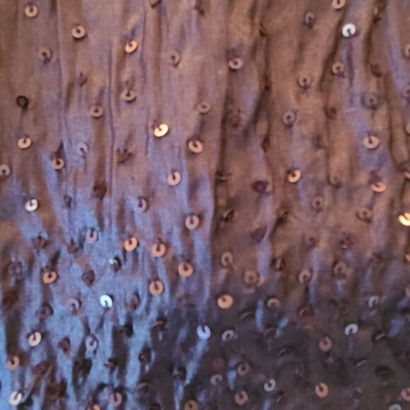 Eileen Fisher Women's Java Brown Rumpled Silk Sequined Dress Size XS - Picture 7 of 15